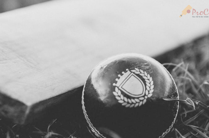 4 Roles A New Zealand Cricket Team Should Have 4 Roles A New Zealand Cricket Team Should Have cricket bat and ball laying on the field Featured Image 687x455 - 4 Roles A New Zealand Cricket Team Should Have